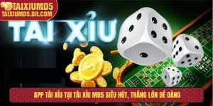 App tài xỉu