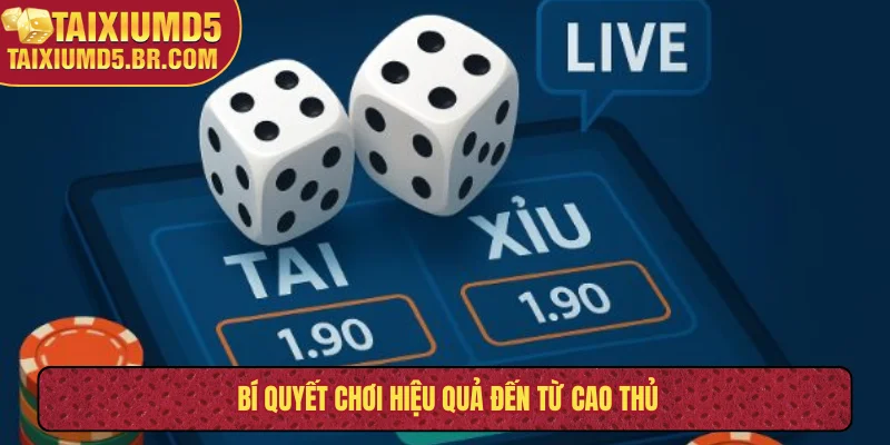 Bí quyết chơi hiệu quả đến từ cao thủ