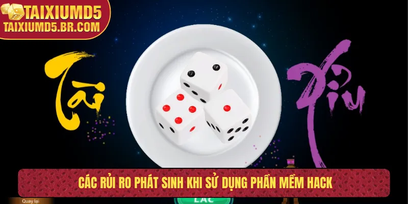 Các rủi ro phát sinh khi sử dụng phần mềm hack