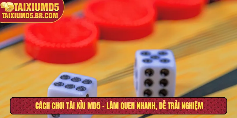 Cách chơi tài xỉu MD5