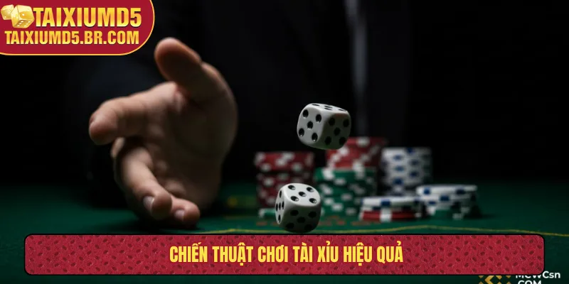 Chiến thuật chơi tài xỉu hiệu quả