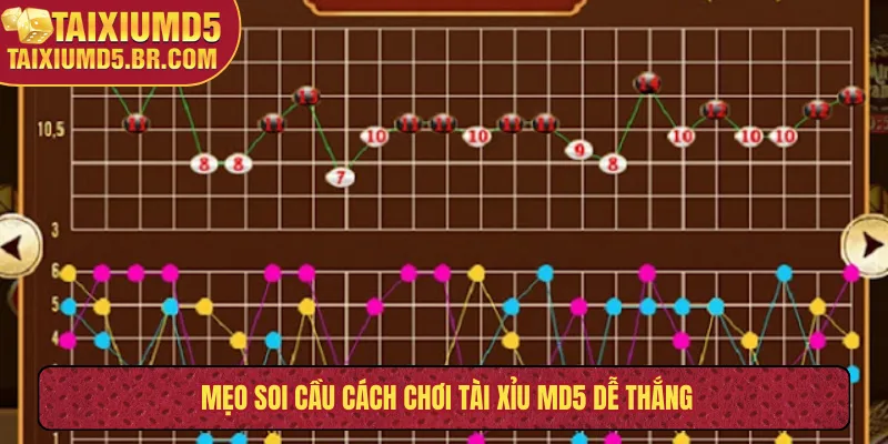 Mẹo soi cầu cách chơi tài xỉu MD5 dễ thắng