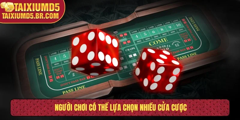 Người chơi có thể lựa chọn nhiều cửa cược